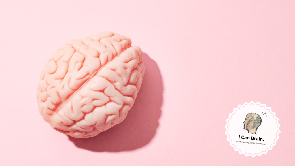 The Braining of I Can&nbsp;Brain!